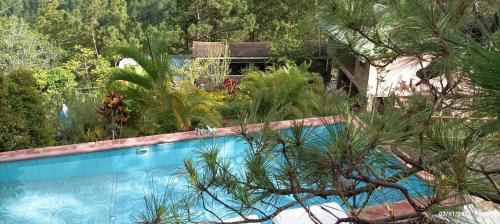 Villa with Garden View