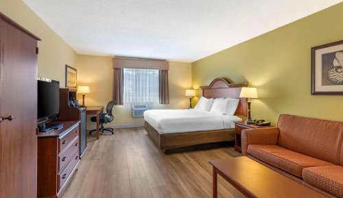 King Room with Sofa Bed - Non-Smoking