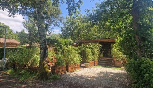 Three-Bedroom Chalet