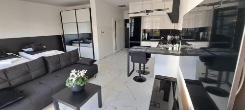 One-Bedroom Apartment with Balcony and Mountain View  