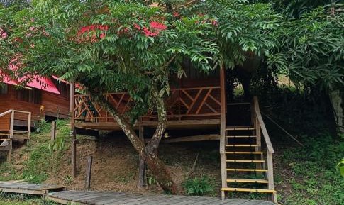 Cottage with Garden View