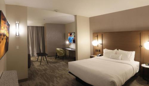 Suite, 1 King, Sofa bed, City view