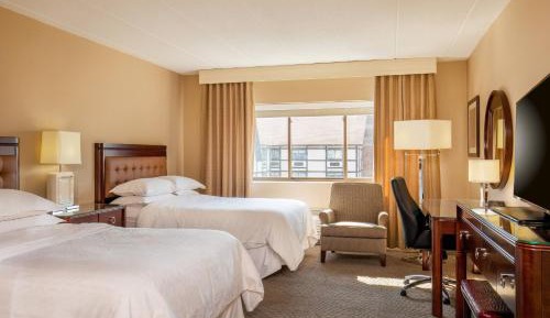 Traditional, Guest room, 2 Double