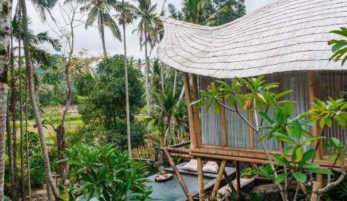 One-Bedroom Bamboo Pool Villa