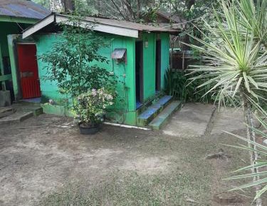 Double Room with Shared Bathroom