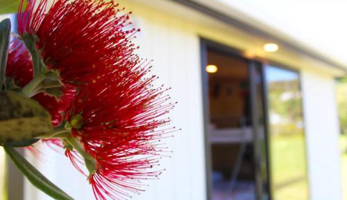 Basic Triple Room with Shared Bathroom