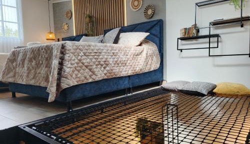 One-bedroom Loft Apartment 