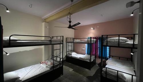 Bunk Bed in Mixed Dormitory Room