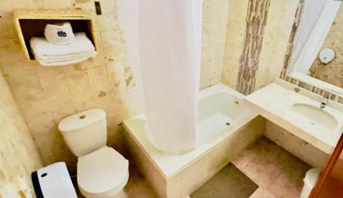 Superior Double or Twin Room with Terrace