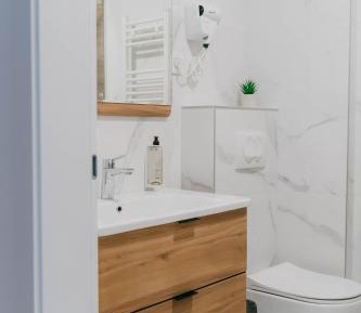 Deluxe One-Bedroom Apartment