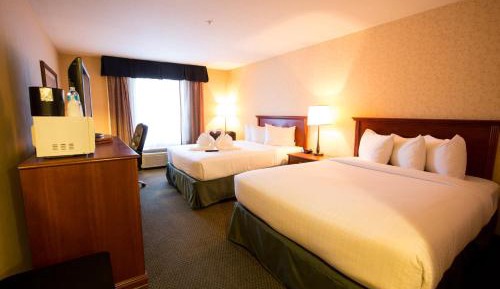 Superior Two Queen Room