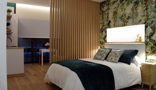 Studio Apartment with Queen Bed