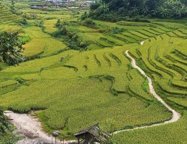 Double Room with Mountain View