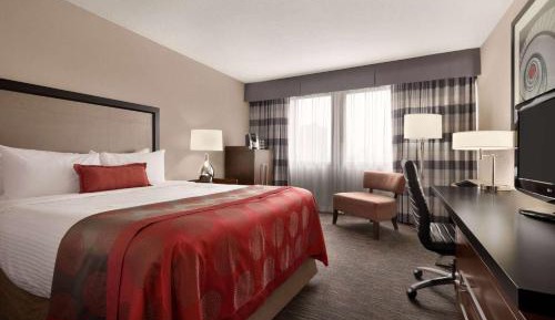 Standard Queen Room