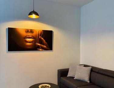 One-Bedroom Premier Apartment