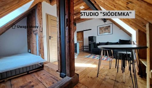 Studio Apartment