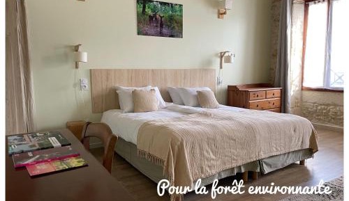 Superior Double or Twin Room