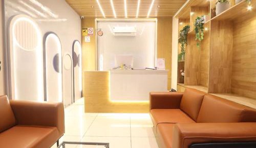 Deluxe One-Bedroom Apartment with City View