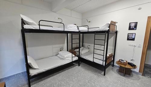 4-Bed Mixed Dormitory Room