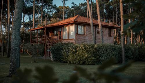 Bungalow (4 Adults + 1 Children)