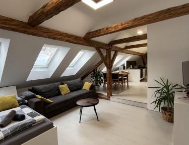 Apartment with Garden View