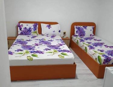 Triple Room with Private Bathroom