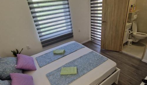 Deluxe Double or Twin Room with Balcony