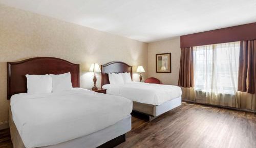 Business Queen Room with Two Queen Beds - Pool View/Non-Smoking