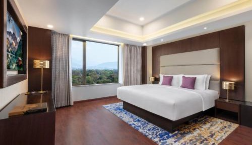 Superior Room king bed