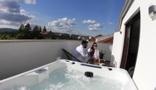Deluxe One-Bedroom Apartment with City View