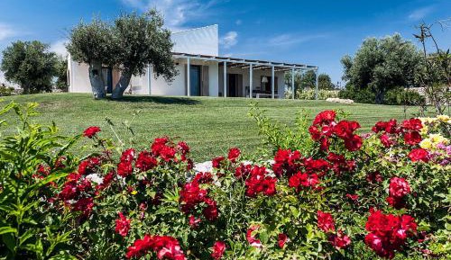 Ulivi Three-Bedroom Villa with Pool View