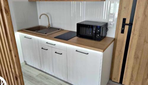 Deluxe One-Bedroom Apartment