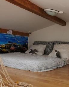 One-Bedroom Villa