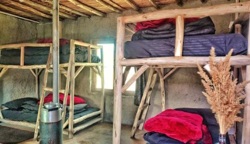 Bunk Bed in Mixed Dormitory Room