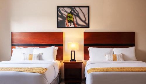 Queen Suite