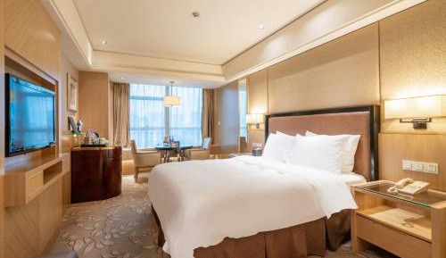 Superior Queen Room