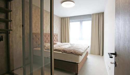 Deluxe Apartment with Balcony