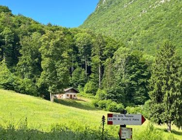 Chalet