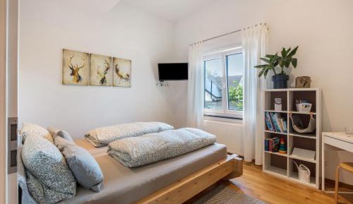Two-Bedroom Studio Apartment