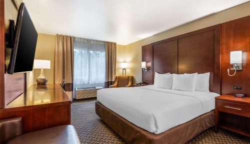 King Room - Non-Smoking