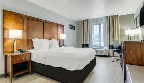Queen Suite with Roll-In Shower - Accessible/Non-Smoking