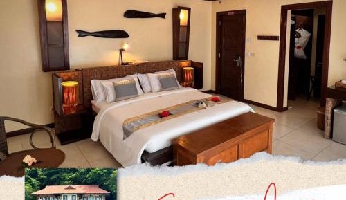 Superior Double or Twin Room