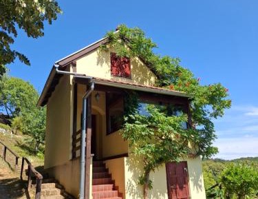 Apartment - Split Level