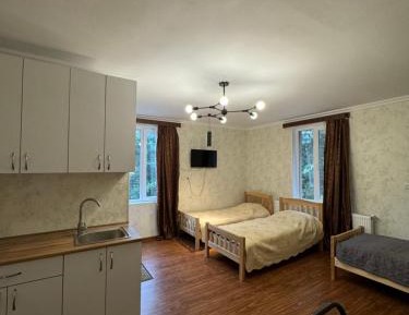 Triple Room with Mountain View