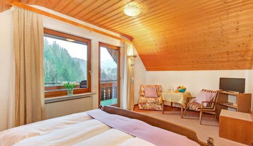 Double Room with Mountain View