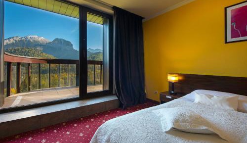 Double Room Standard Plus with Mountain View