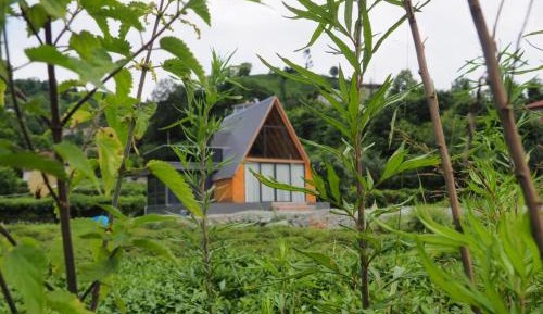 Family Bungalow
