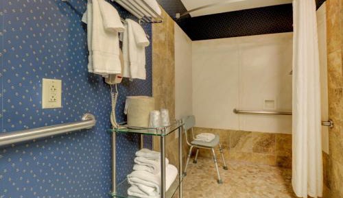 Premium 1 King, Pet-friendly