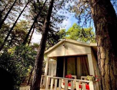 One-Bedroom Chalet