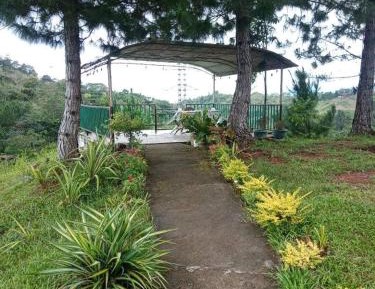 Family Room with Mountain View